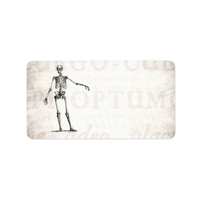 Etiqueta Vintage 1800s Skeleton Retro Skeletons Anatomia (Frente)