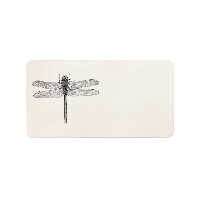 Etiqueta Vintage American Dragonfly Dragon Modelo (Frente)