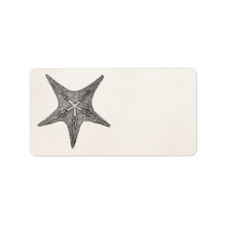 Etiqueta Vintage Starfish Antiquado Star Fish Modelo