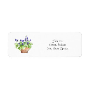 Etiqueta Violetas Potted