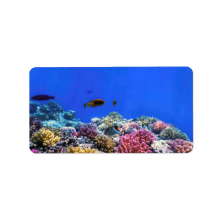 Etiqueta Vista submarina do recife de coral, Águas tropicai