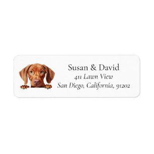 Etiqueta Vizsla Dog Breed Pet Lovers