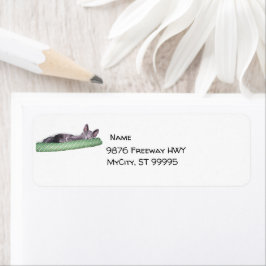 Etiqueta - Voltar - Kitten Azul Russo