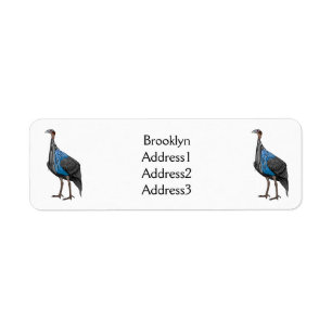 Etiqueta Vulturine guineafowl bird cartoon illustration