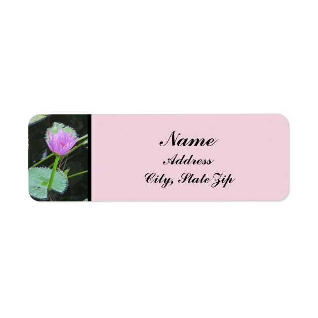 Etiqueta Water Lily Foto Linda Púrpura Rosa Bloqueio (Frente)