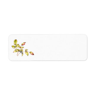 Etiqueta Watercolor barberry return address label