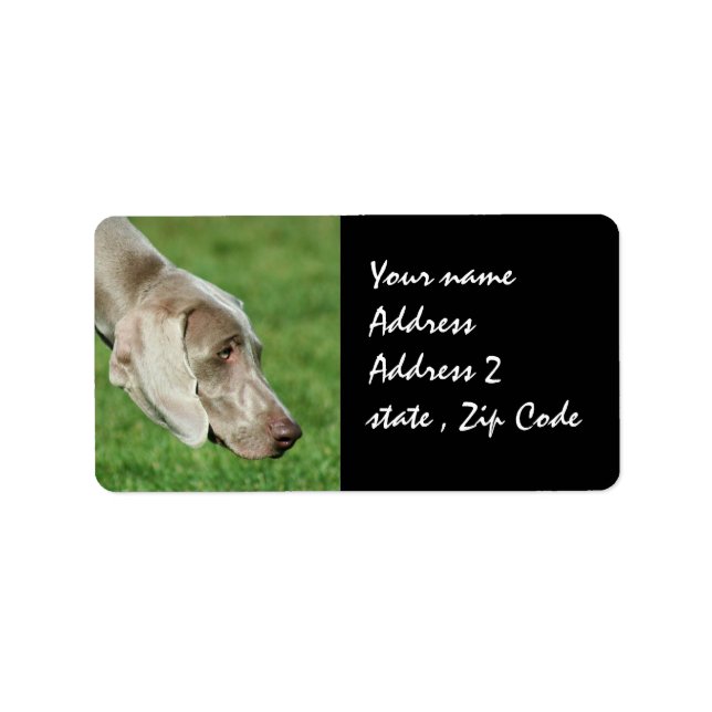 Etiqueta Weimaraner (Frente)
