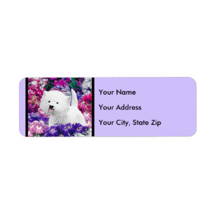 Etiqueta West Highland White Terrier Pintando Arte Canina