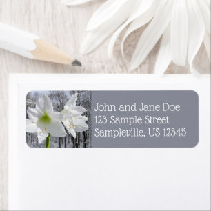 Etiqueta White Amaryllis e Snow I