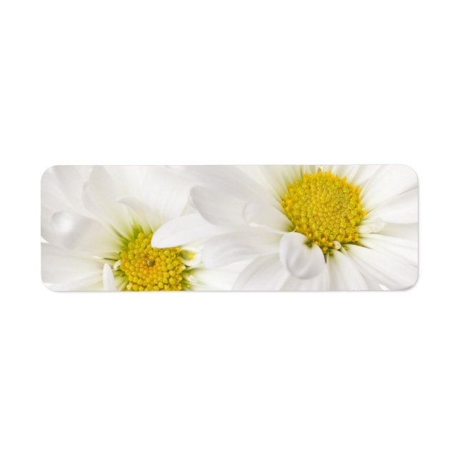 Etiqueta White Daisies - Modelo personalizada da margarida (Frente)