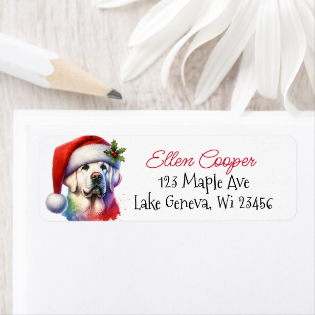 Etiqueta White Lab no Natal (Insitu)