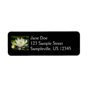 Etiqueta White Waterlily e Bud Floral