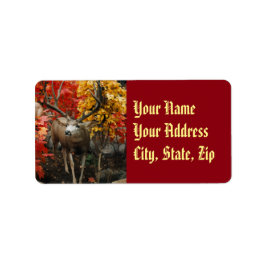 Etiqueta Whitetail No Outono