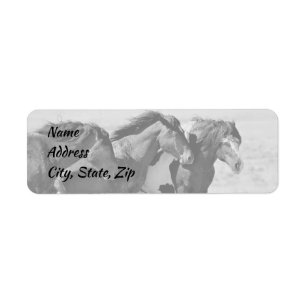 Etiqueta Wild Mustangs, Endereço do Oeste