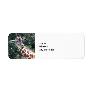 Etiqueta Wildlife Giraffe Retrato Foto