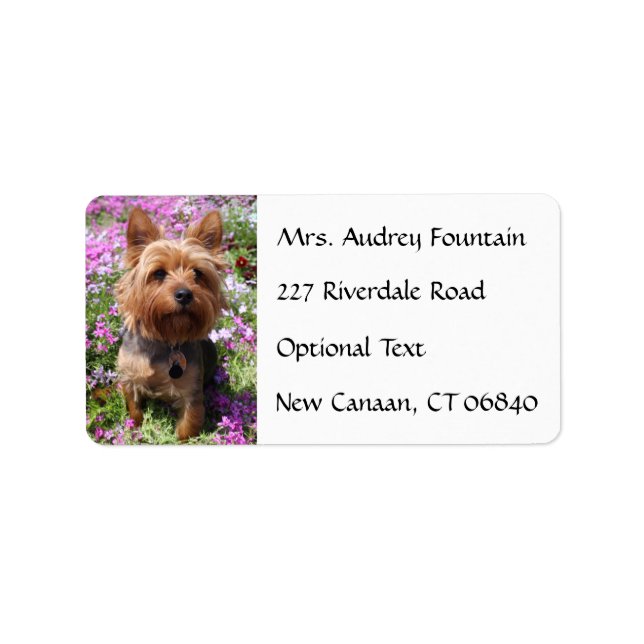 Etiqueta Yorkshire Terrier Nome da puppy Rótulo de endereço (Frente)