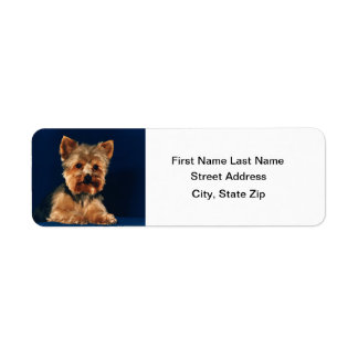 Etiqueta Yorkshire Terrier Puppy