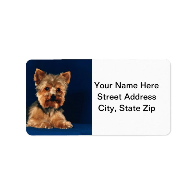 Etiqueta Yorkshire Terrier Puppy (Frente)