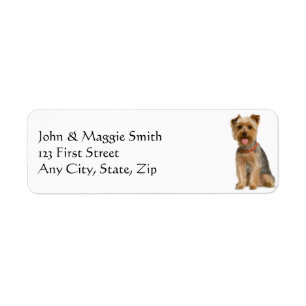 Etiqueta Yorkshire Terrier Yorkie Dog Pet Animal