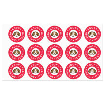 Adotar, Resgate, Foster | Cachorro Cachorro Bandai