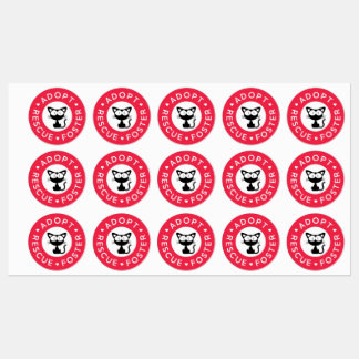 Etiquetas Adotar, Resgate, Foster | Gato preto-cinto