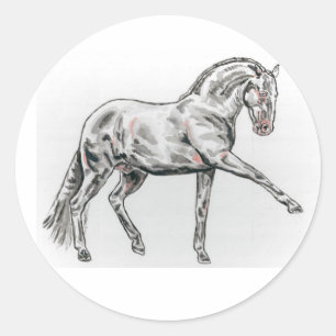 Etiquetas andaluzas espanholas do cavalo