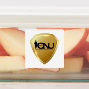 Etiquetas Autocolantes do logotipo IonU seguros