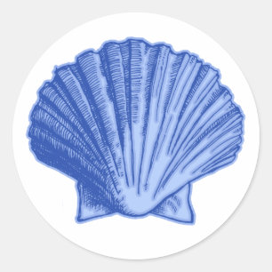 Etiquetas azuis tropicais do Seashell