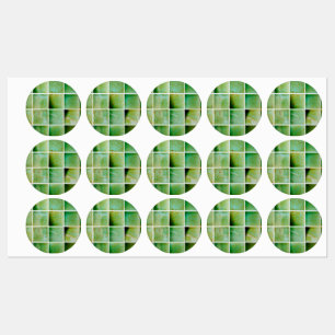 Etiquetas azulejos verdes