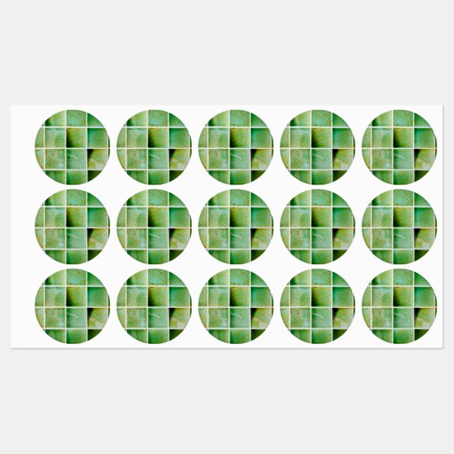 Etiquetas Azulejos verdes (Folha)