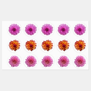 Etiquetas Belo Flor