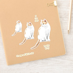 Etiquetas bonitos alaranjadas e brancas do gato