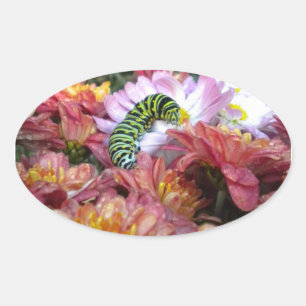 Etiquetas bonitos de Caterpillar