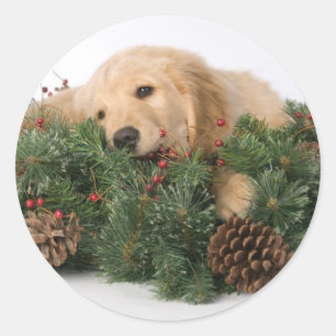 Etiquetas bonitos do cão do Natal