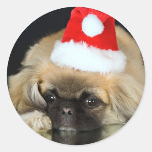 Etiquetas bonitos do cão do Natal