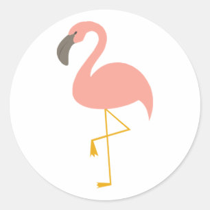 Etiquetas bonitos do flamingo