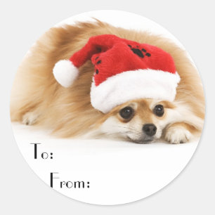 Etiquetas bonitos do presente do cão do Natal