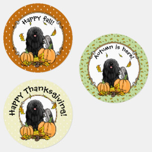 Etiquetas Cachorro Cachorro (preto) Pumpkins Deixa Bonito En