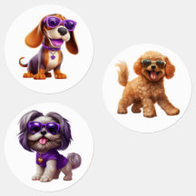 Cachorros Engraçados Com Óculos De Sol