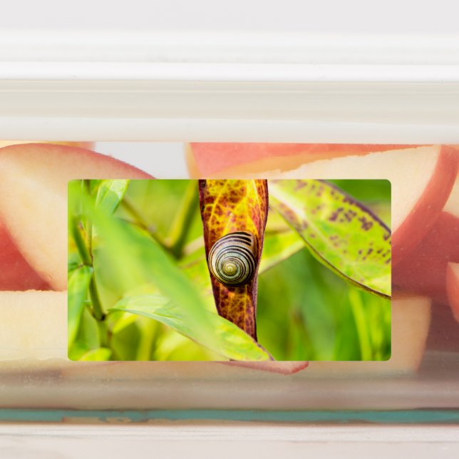 Etiquetas calma (Afixado)