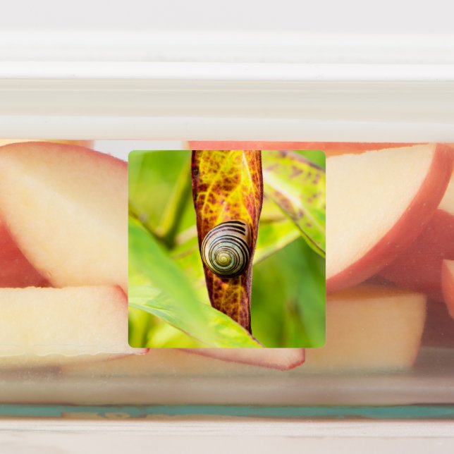 Etiquetas calma (Afixado)