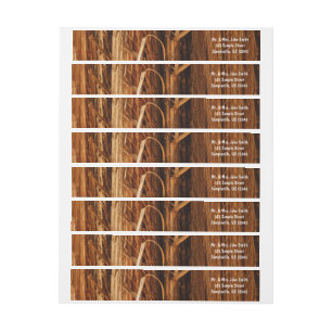 Etiquetas Cedar Textura de Latido de Madeira