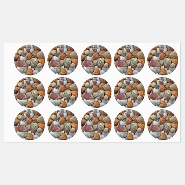 Etiquetas Conchas do Mar (Folha)