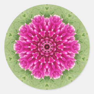 Etiquetas cor-de-rosa de Lilly