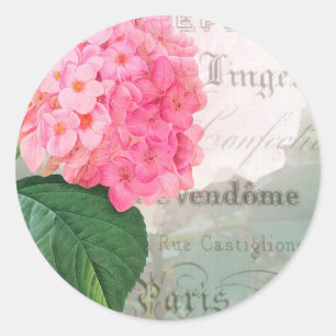 Etiquetas cor-de-rosa do envelope do Hydrangea