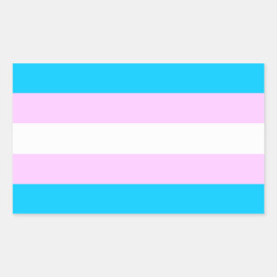 Etiquetas da bandeira do orgulho do transporte