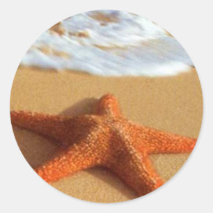 Etiquetas da estrela do mar