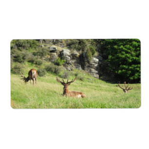 Etiquetas da Nova Zelândia