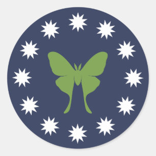 Etiquetas da traça & dos insetos (folha)