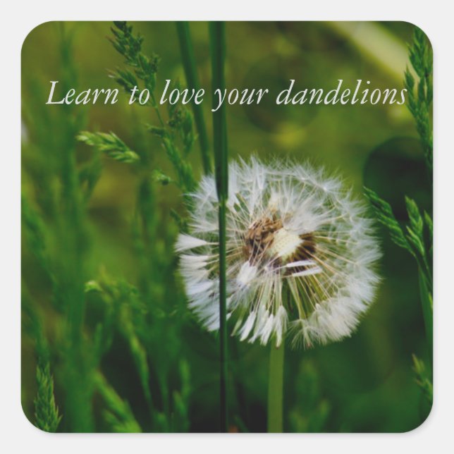 Etiquetas DBT (Frente)